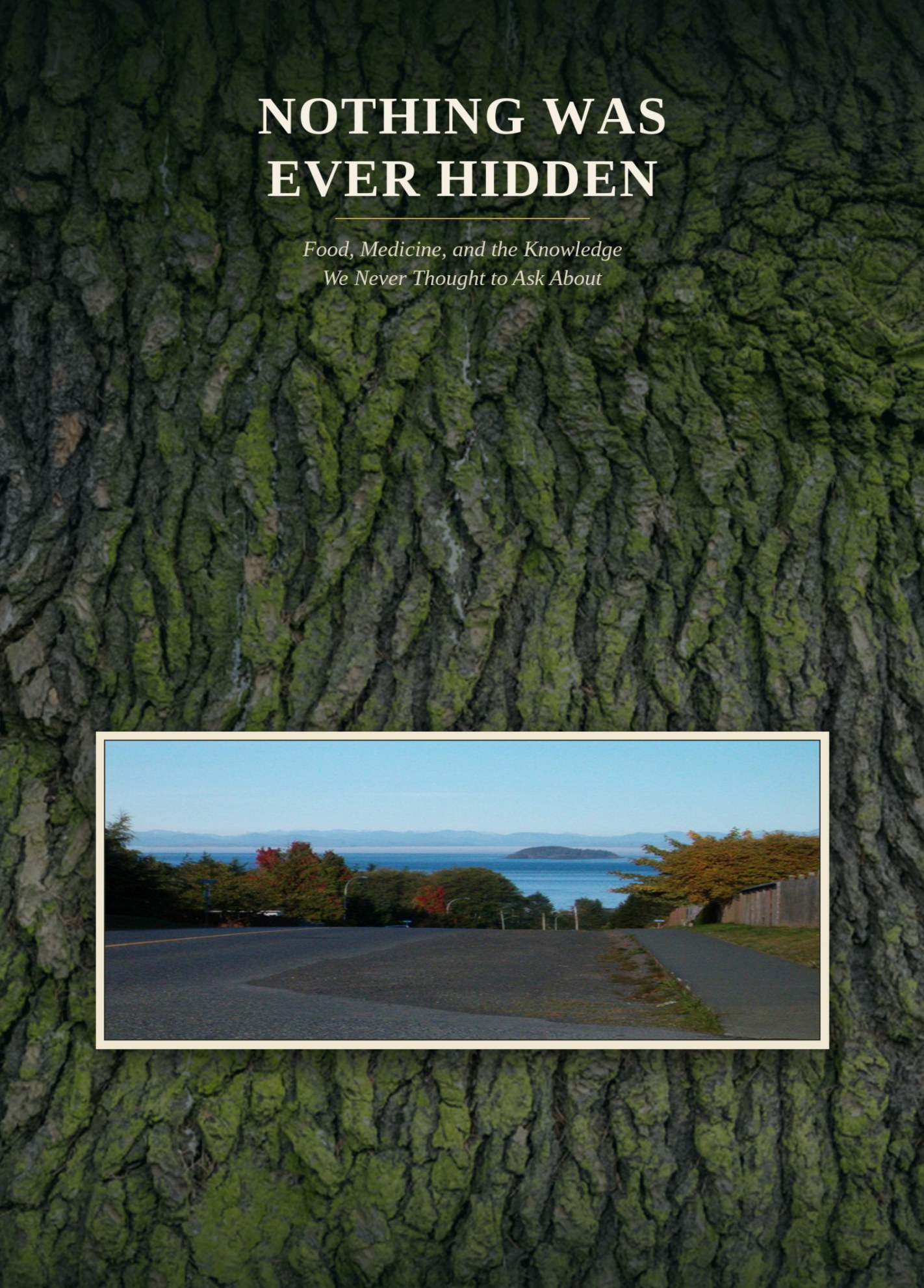 Nothing Was Ever Hidden cover
