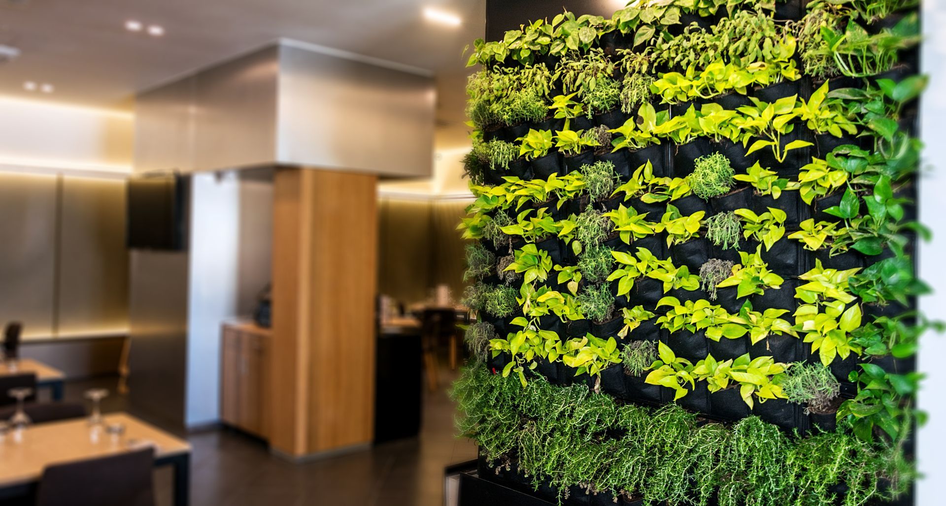 Biophilic design